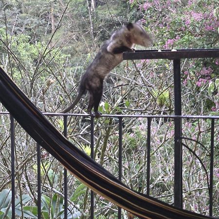 El Valle De Anton La Chachalaca 外观 照片