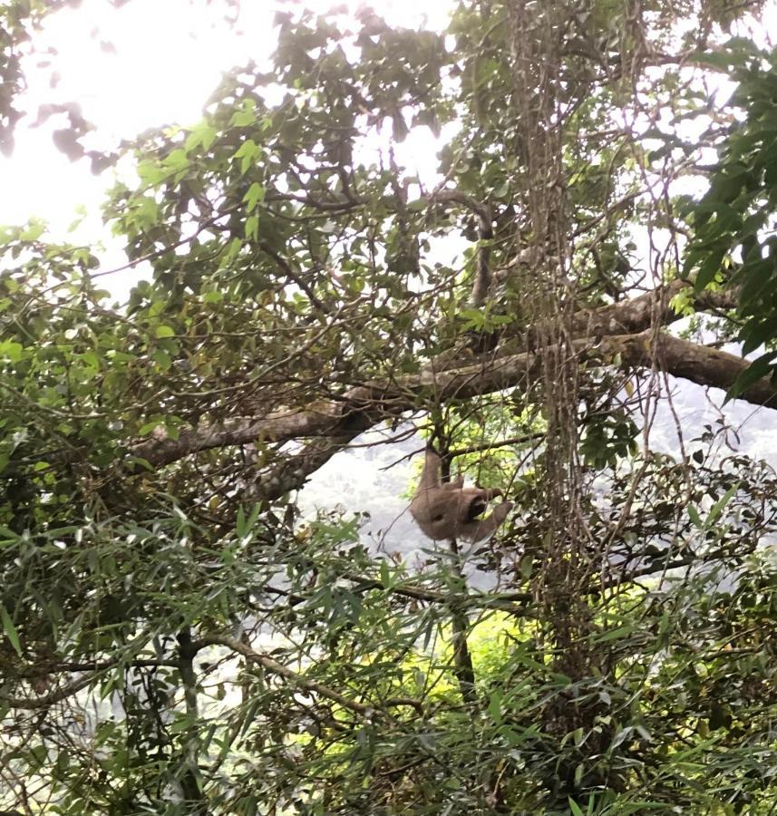 El Valle De Anton La Chachalaca 外观 照片