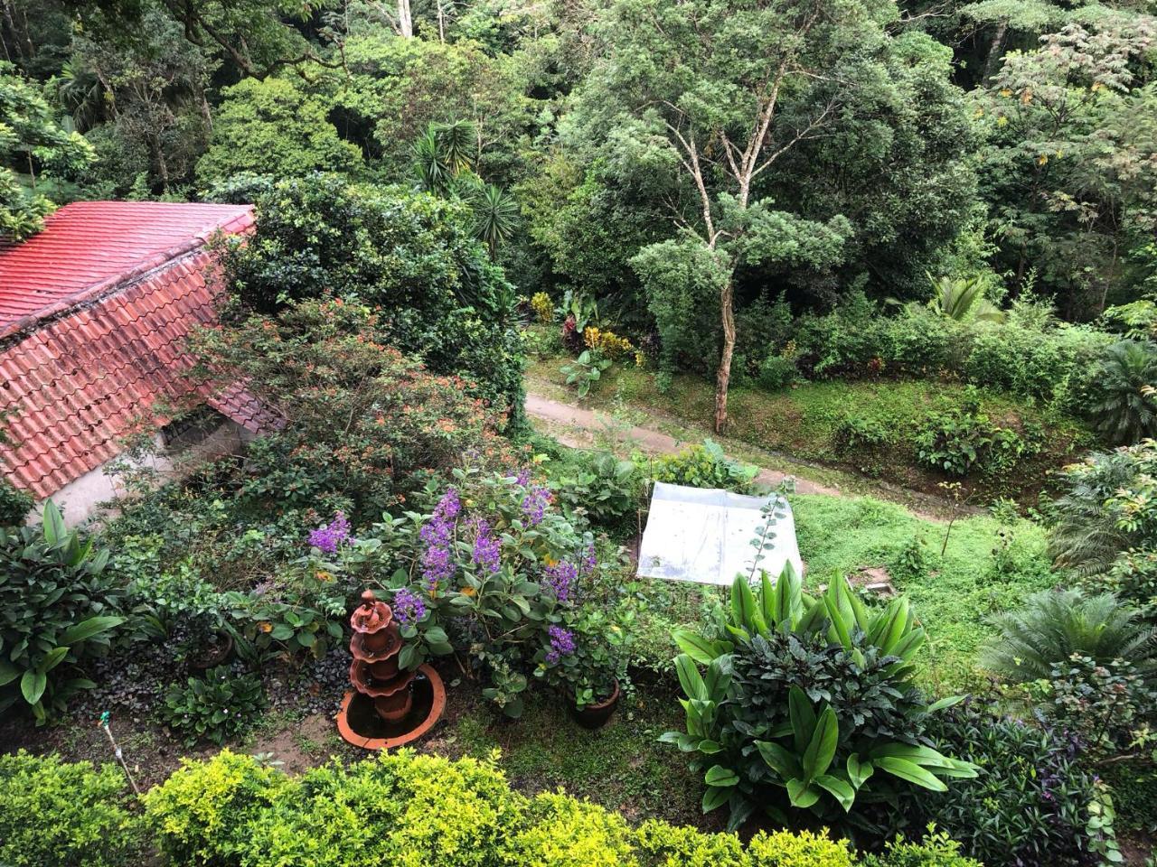El Valle De Anton La Chachalaca 外观 照片